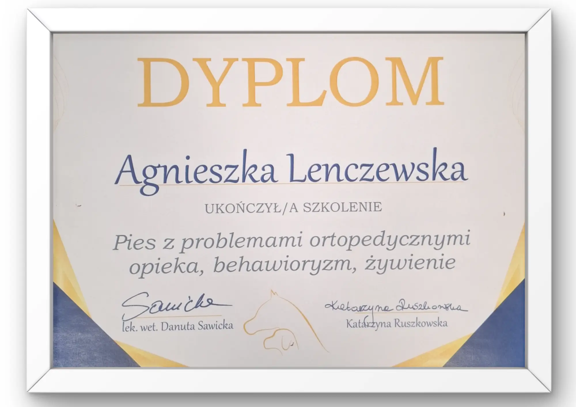fizjoterapetua psów i kotów suwałki poziom dyplomy