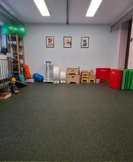 fizjoterapeuta psów i kotów suwałki