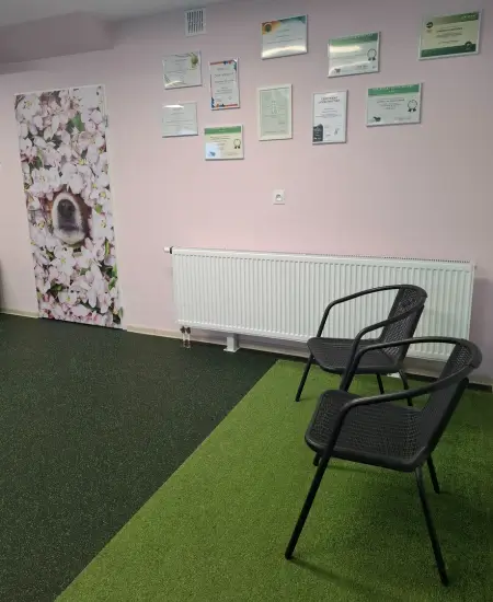 fizjoterapeuta psów i kotów suwałki