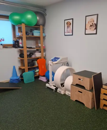 fizjoterapeuta psów i kotów suwałki