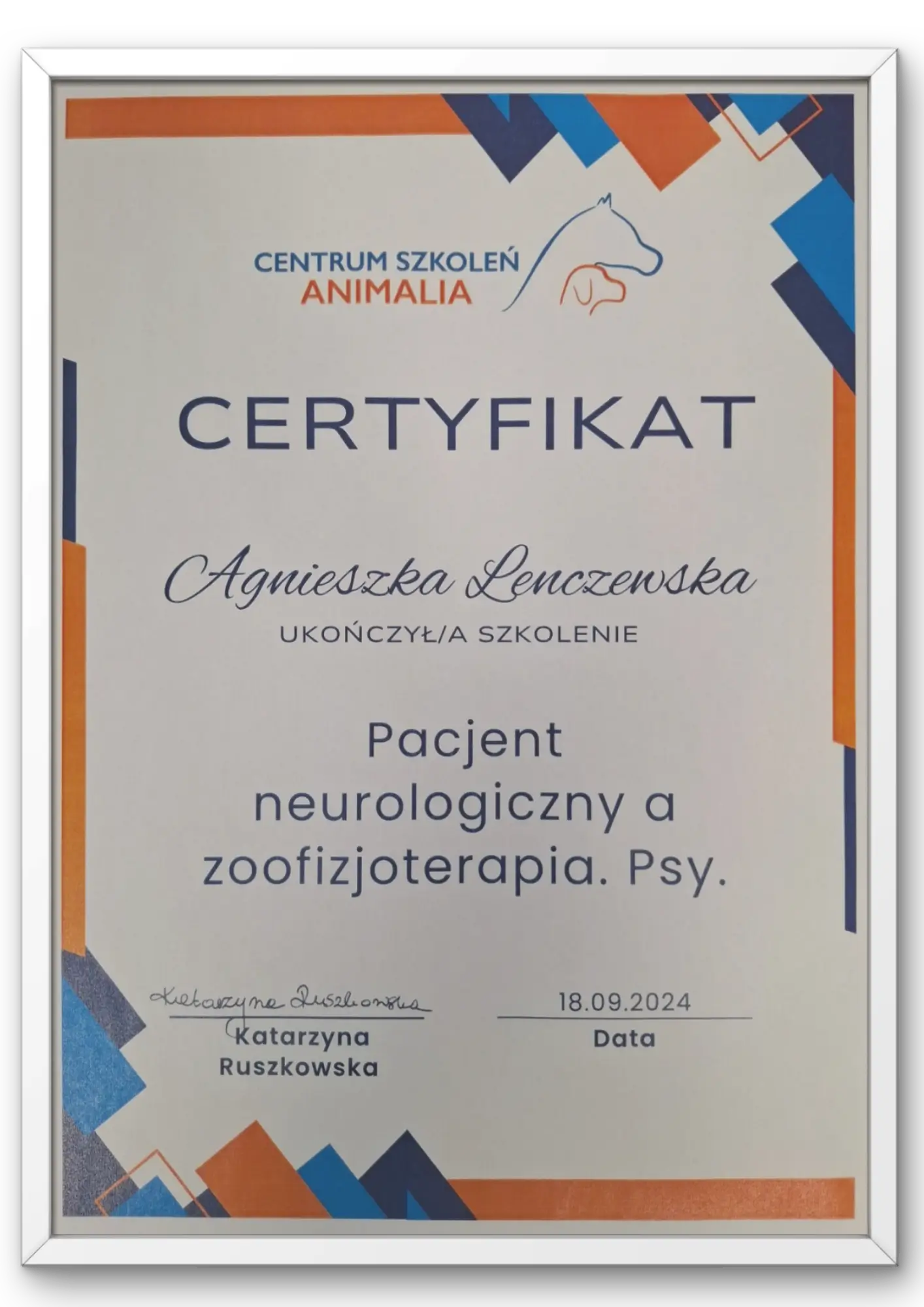 fizjoterapeuta psów i kotów suwałki_dyplom
